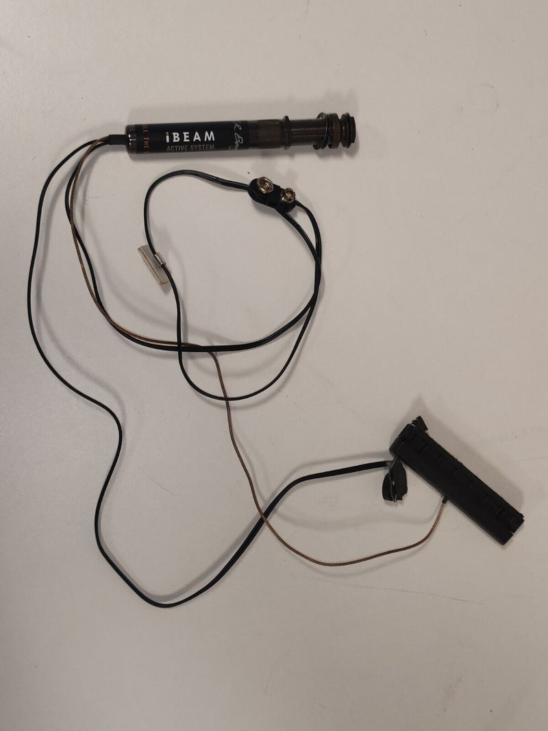 LR Baggs I-beam Active System - Free UK Shipping - image 2