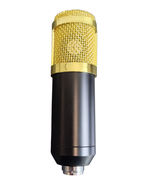BM800 Condenser Microphone - Condenser Microphone - Excellent w/ Original Box