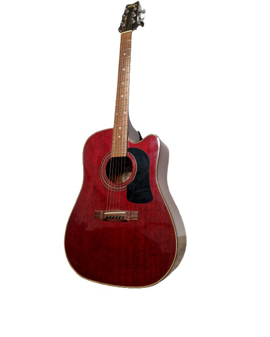 Washburn D-10 CEM/TWR - Excellent w/ strap - image 2