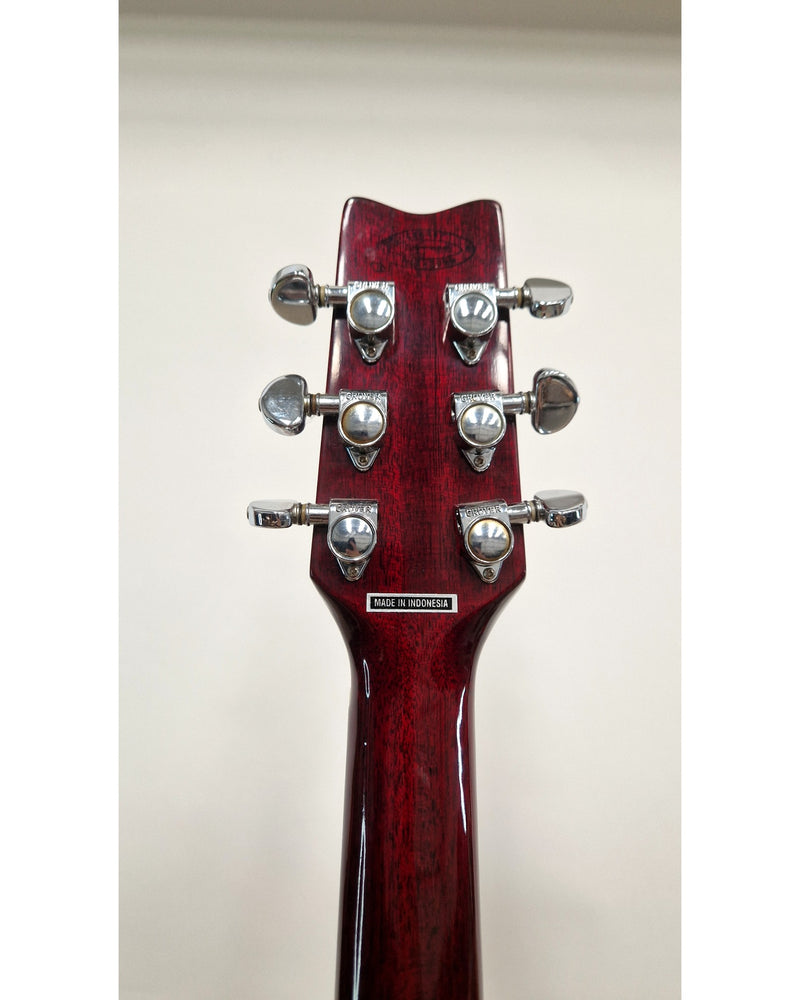 Washburn D-10 CEM/TWR - Excellent w/ strap - image 12