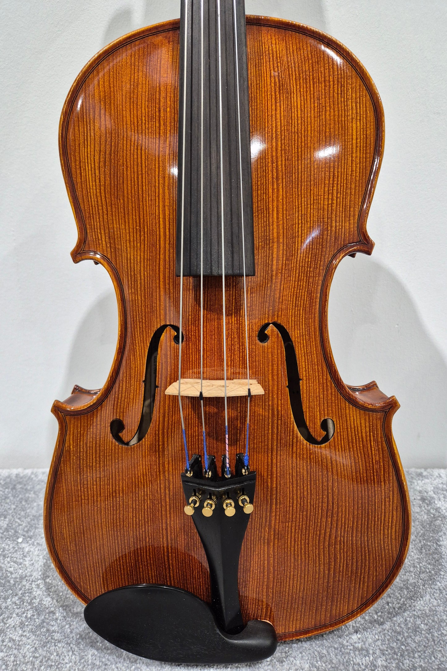 Hidersine Piacenza 1 Violin + Hard Case + 2 Quality Bows