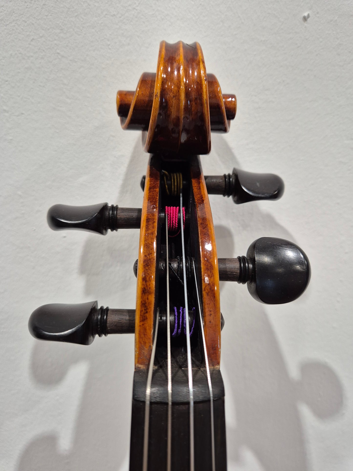 Hidersine Piacenza 1 Violin + Hard Case + 2 Quality Bows