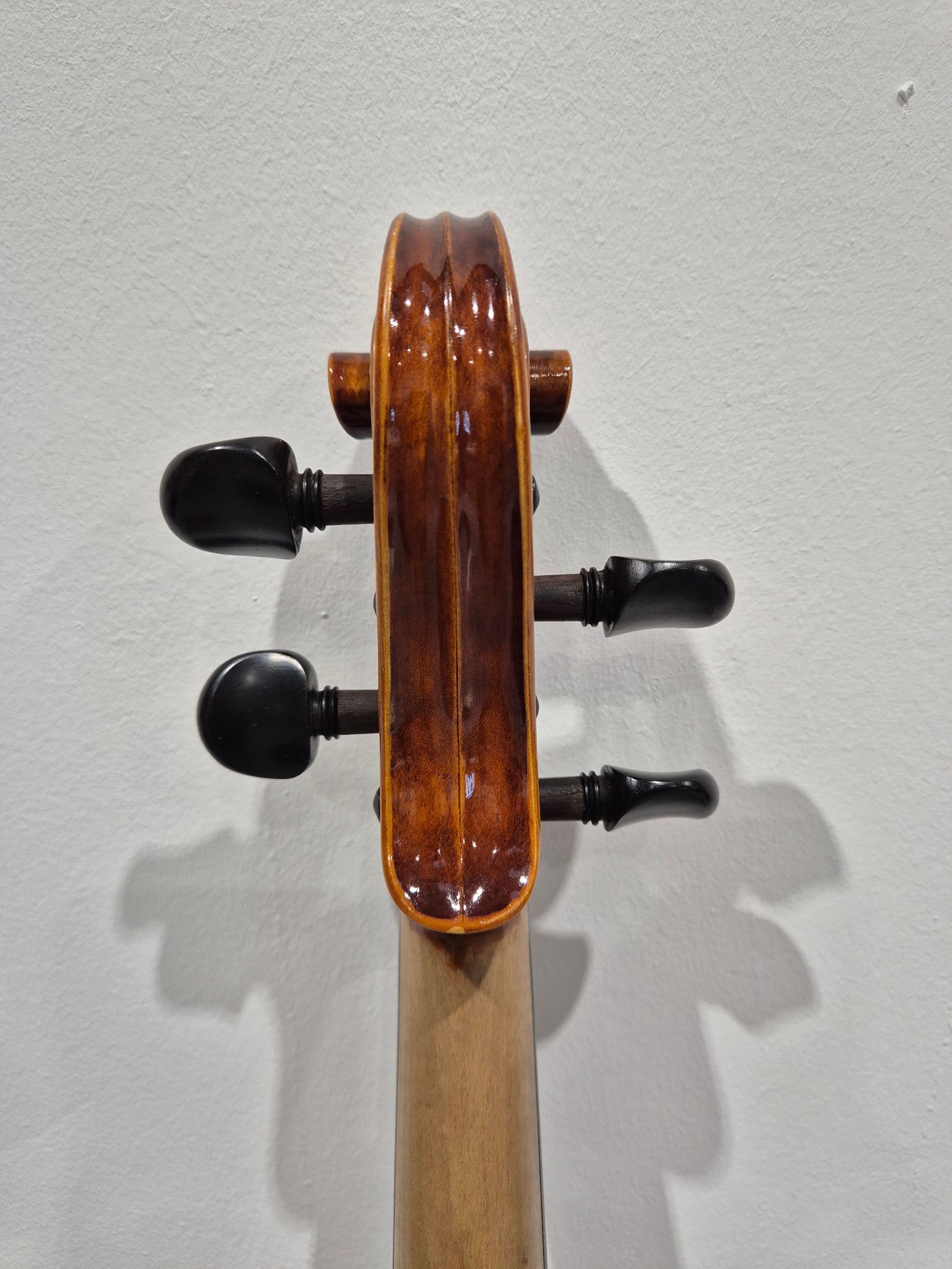 Hidersine Piacenza 1 Violin + Hard Case + 2 Quality Bows
