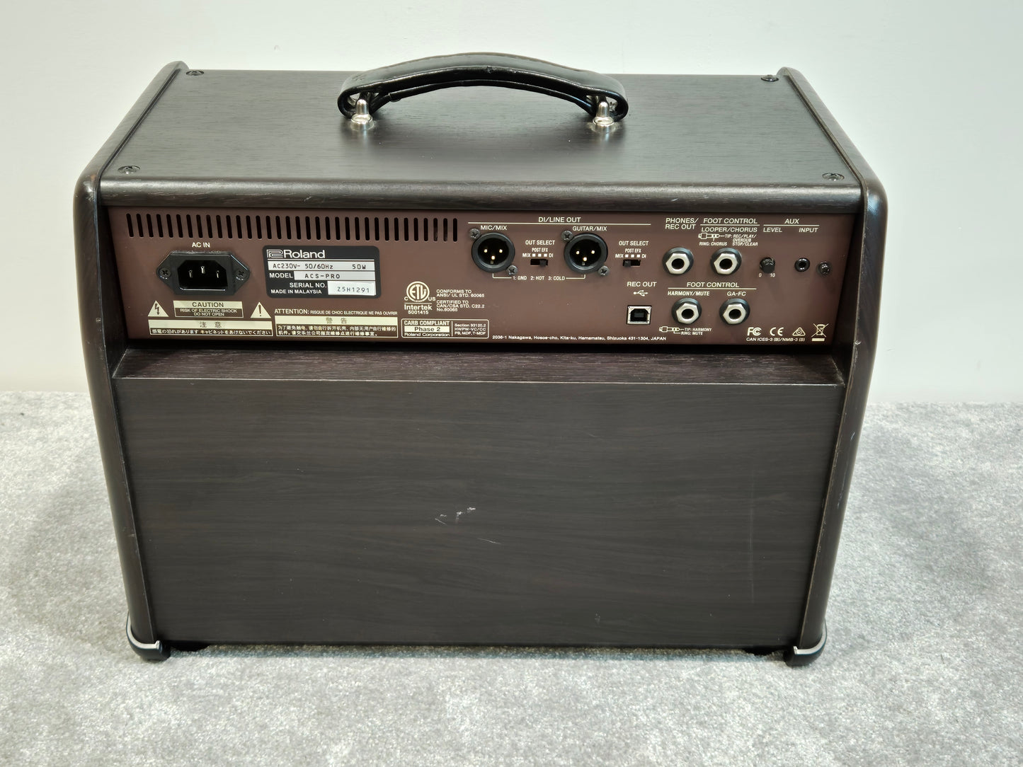 Boss Acoustic Singer Pro - 120-watt Acoustic Amplifier