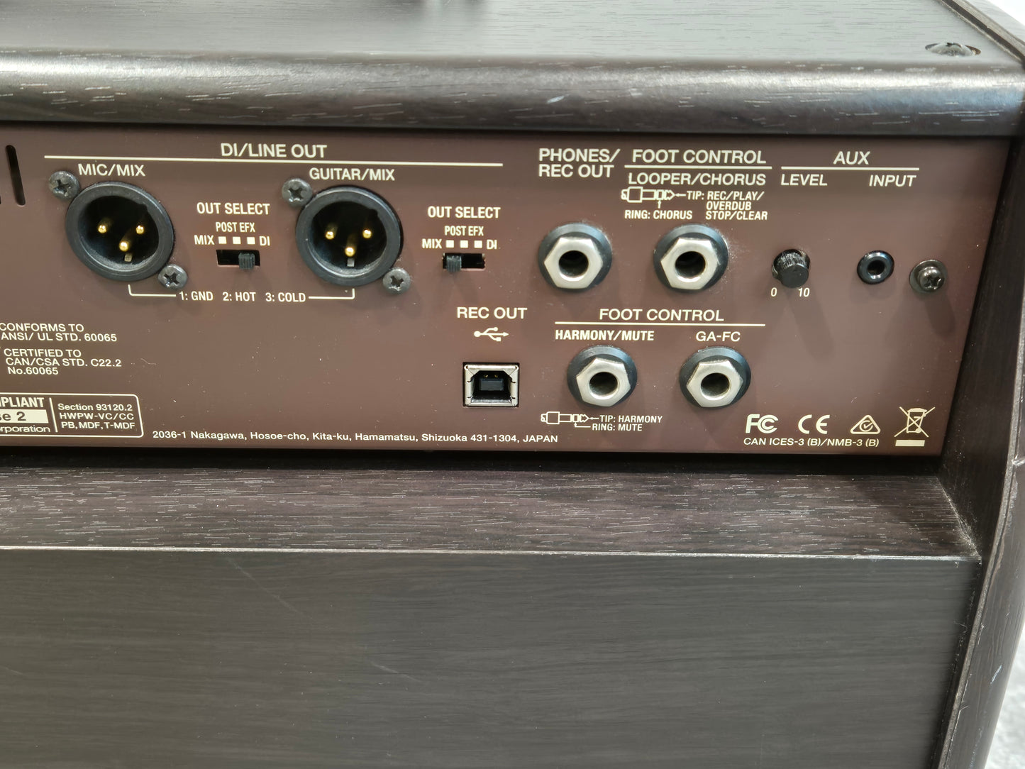 Boss Acoustic Singer Pro - 120-watt Acoustic Amplifier