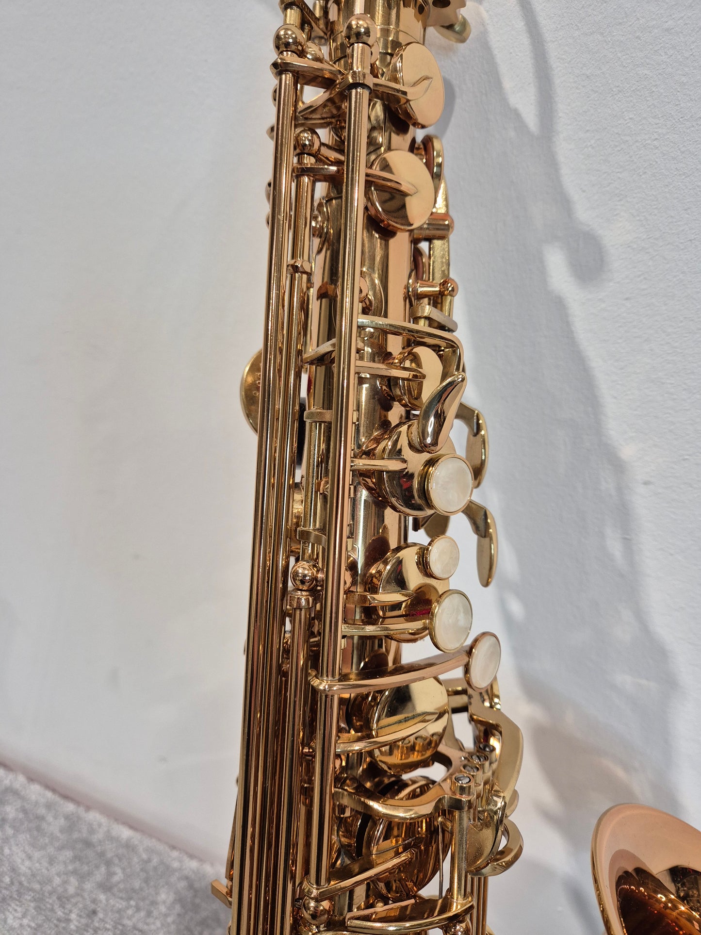 Artemis by Trevor James A1 Alto Saxophone + Artemis Soft Case