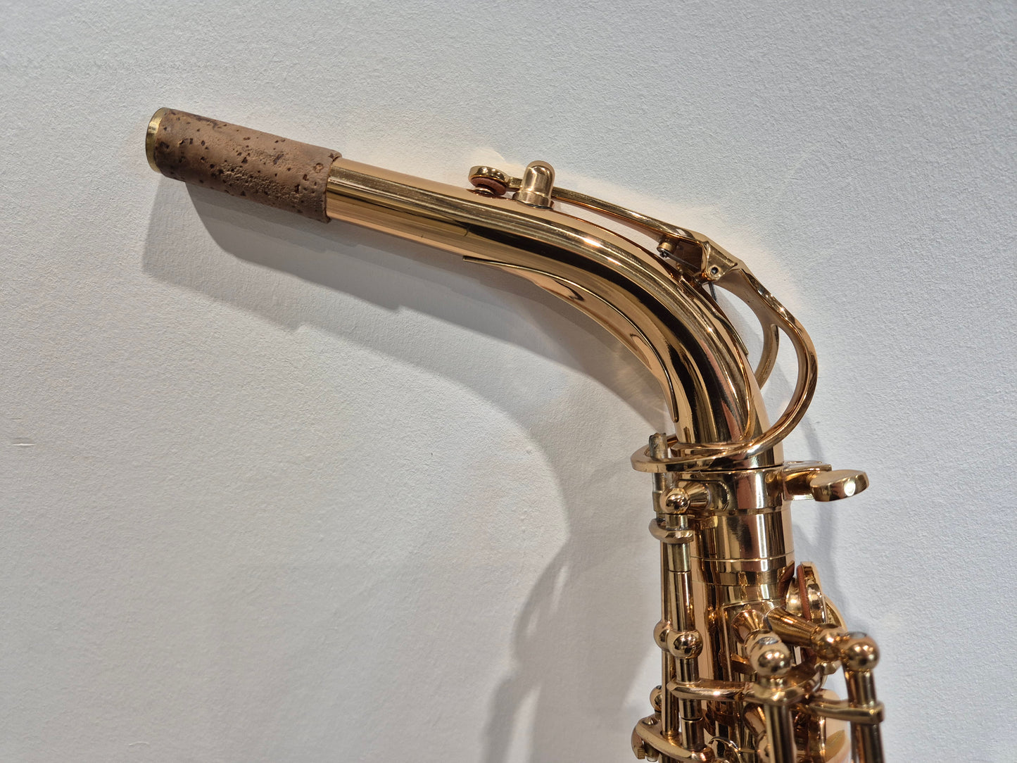 Artemis by Trevor James A1 Alto Saxophone + Artemis Soft Case