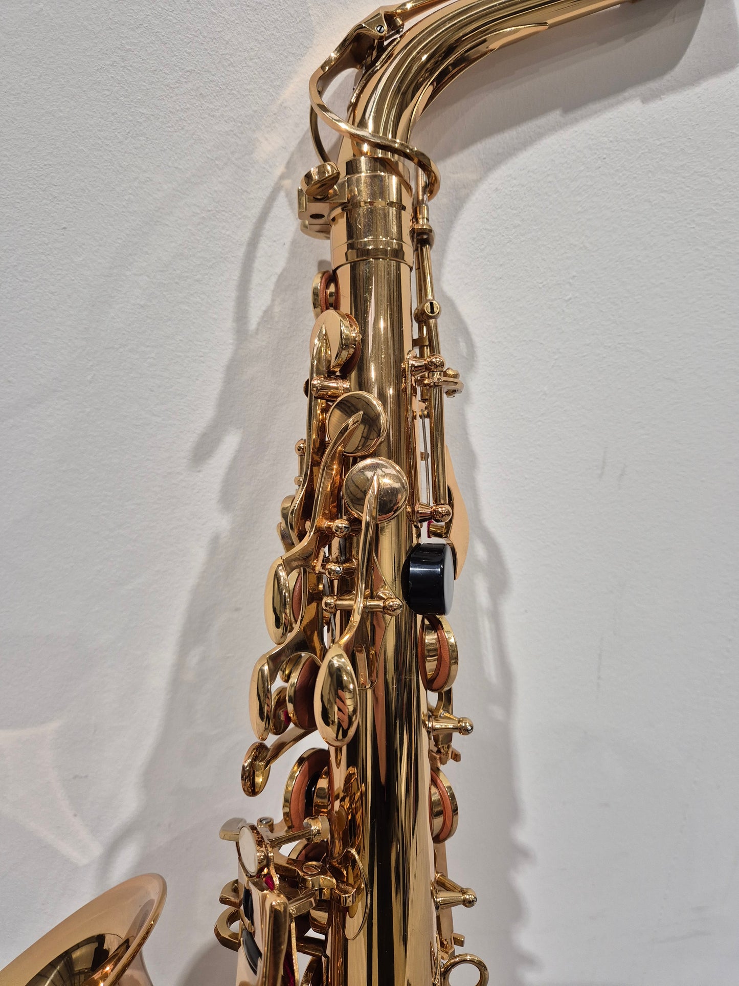 Artemis by Trevor James A1 Alto Saxophone + Artemis Soft Case