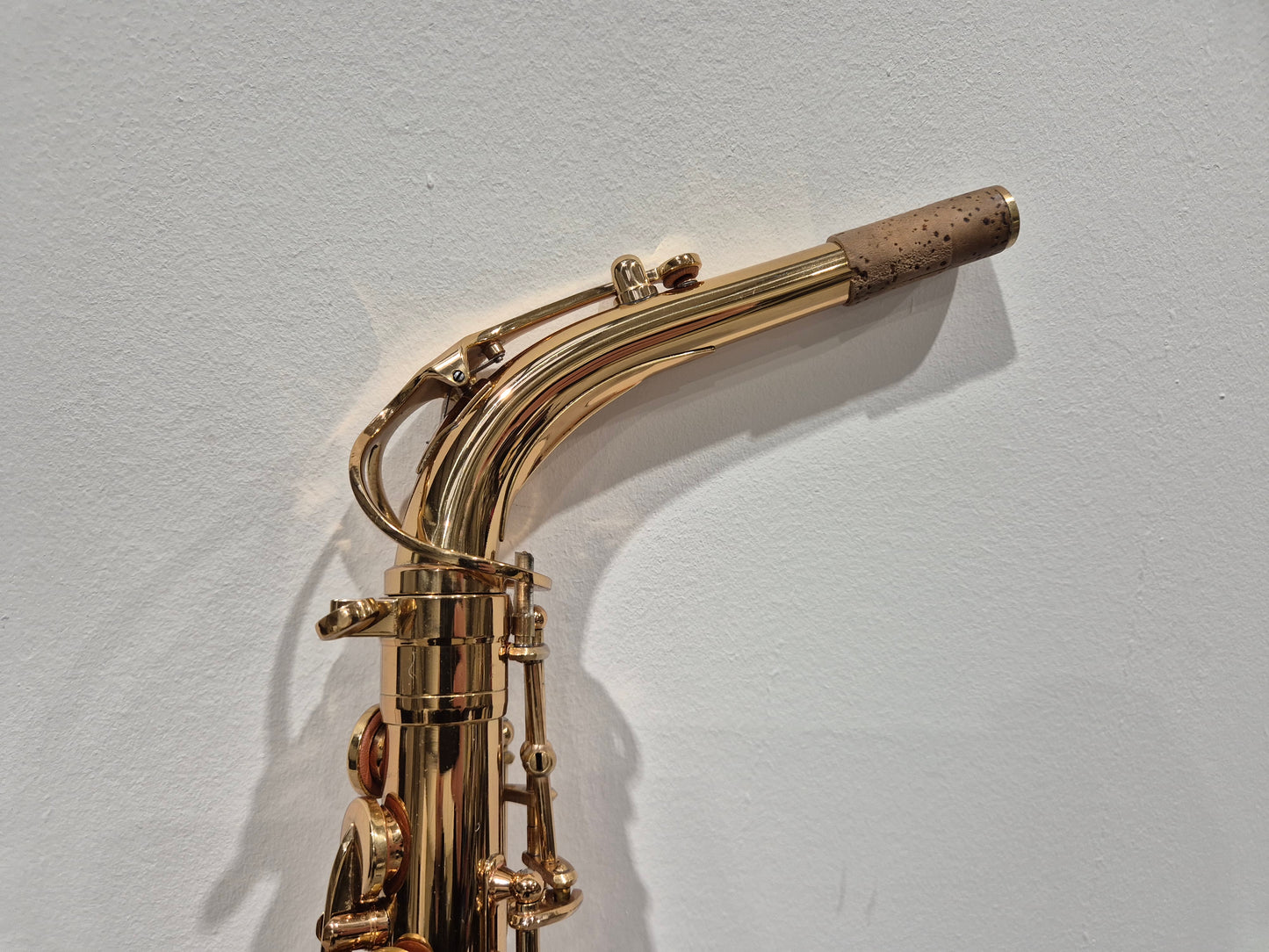 Artemis by Trevor James A1 Alto Saxophone + Artemis Soft Case