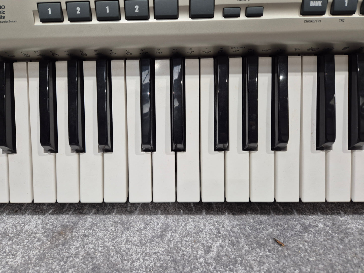 Casio WK 3200 - Versatile Digital 61 Key Keyboard