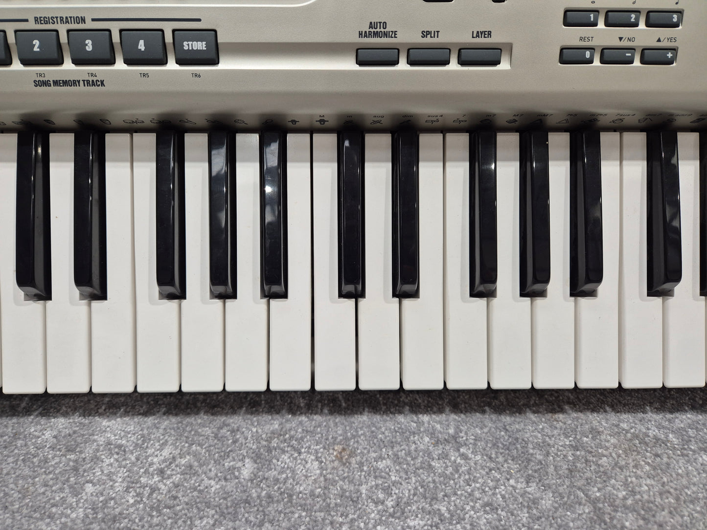 Casio WK 3200 - Versatile Digital 61 Key Keyboard