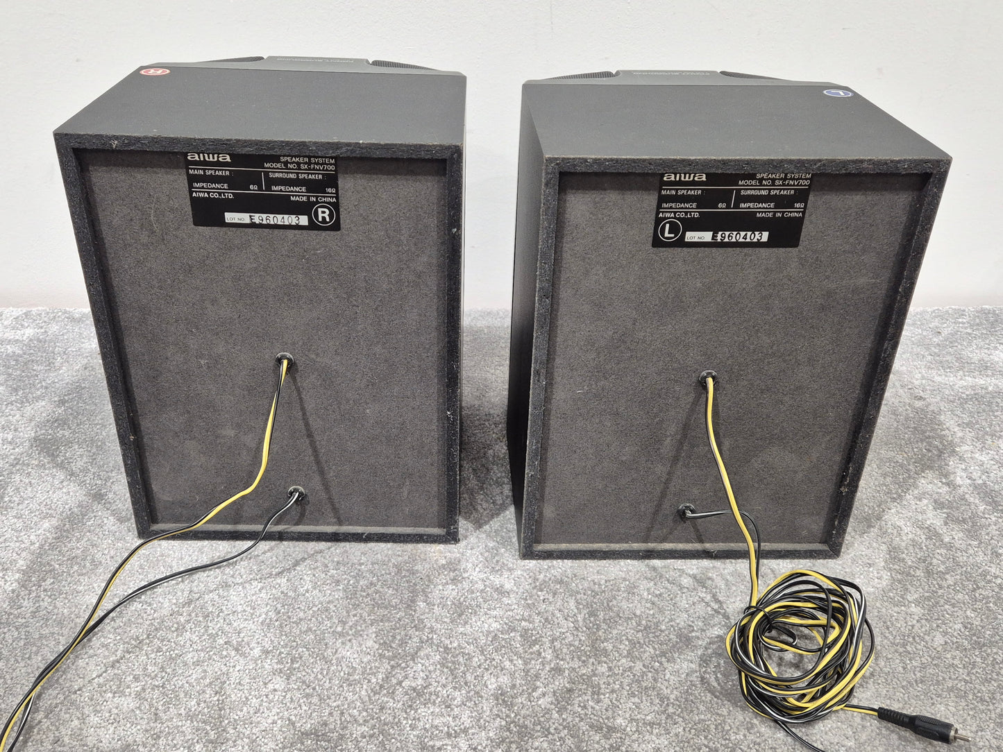 AIWA SX-FNV700 - Front Surround L & R Speakers (Pair)