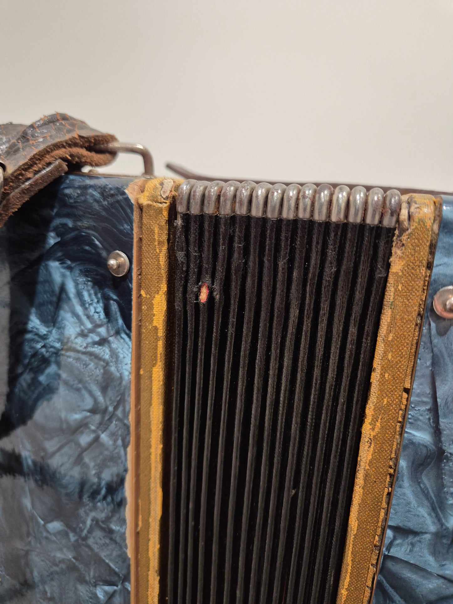 Pietro Accordion - Blue w/ HardCase