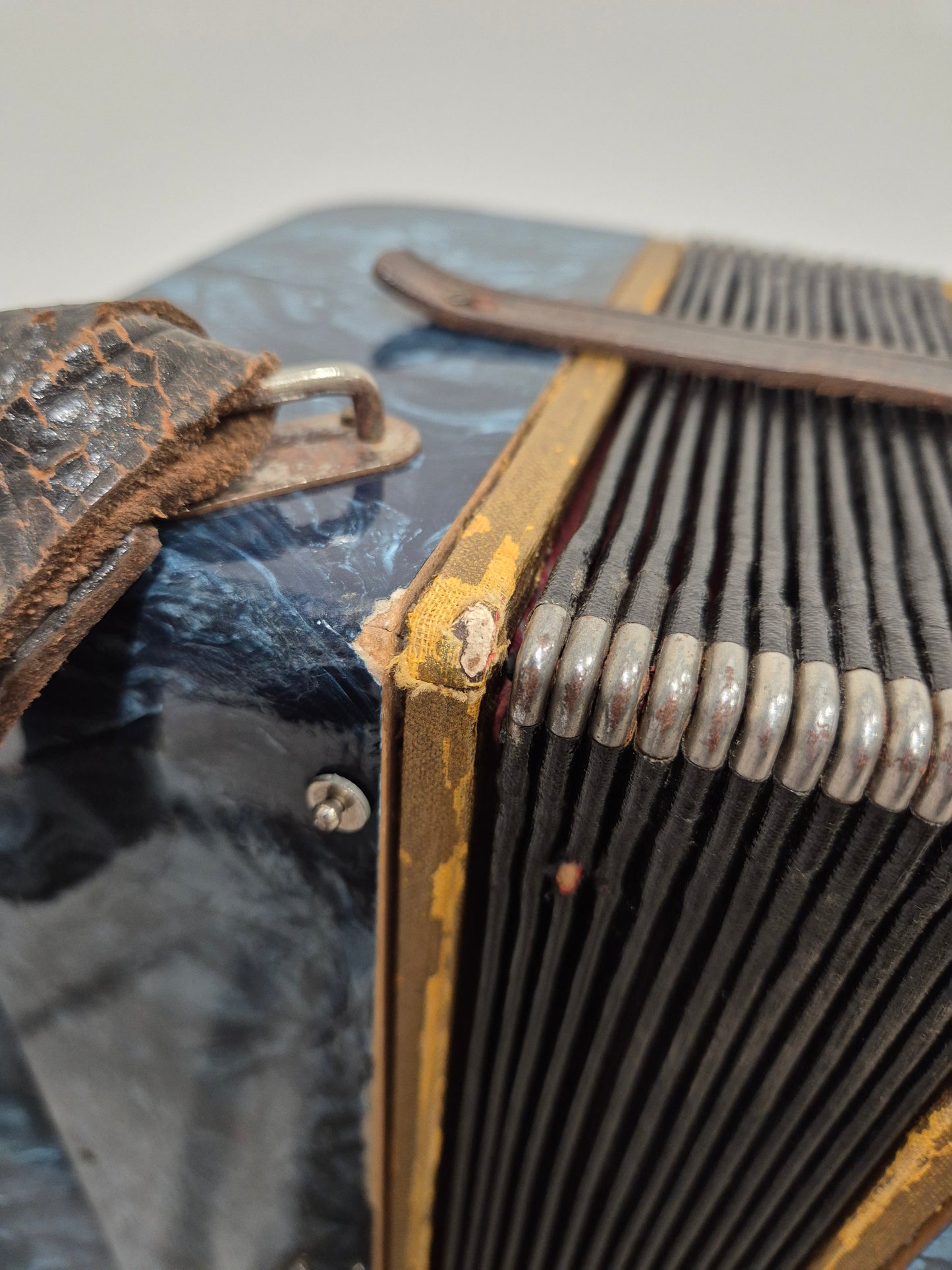 Pietro Accordion - Blue w/ HardCase