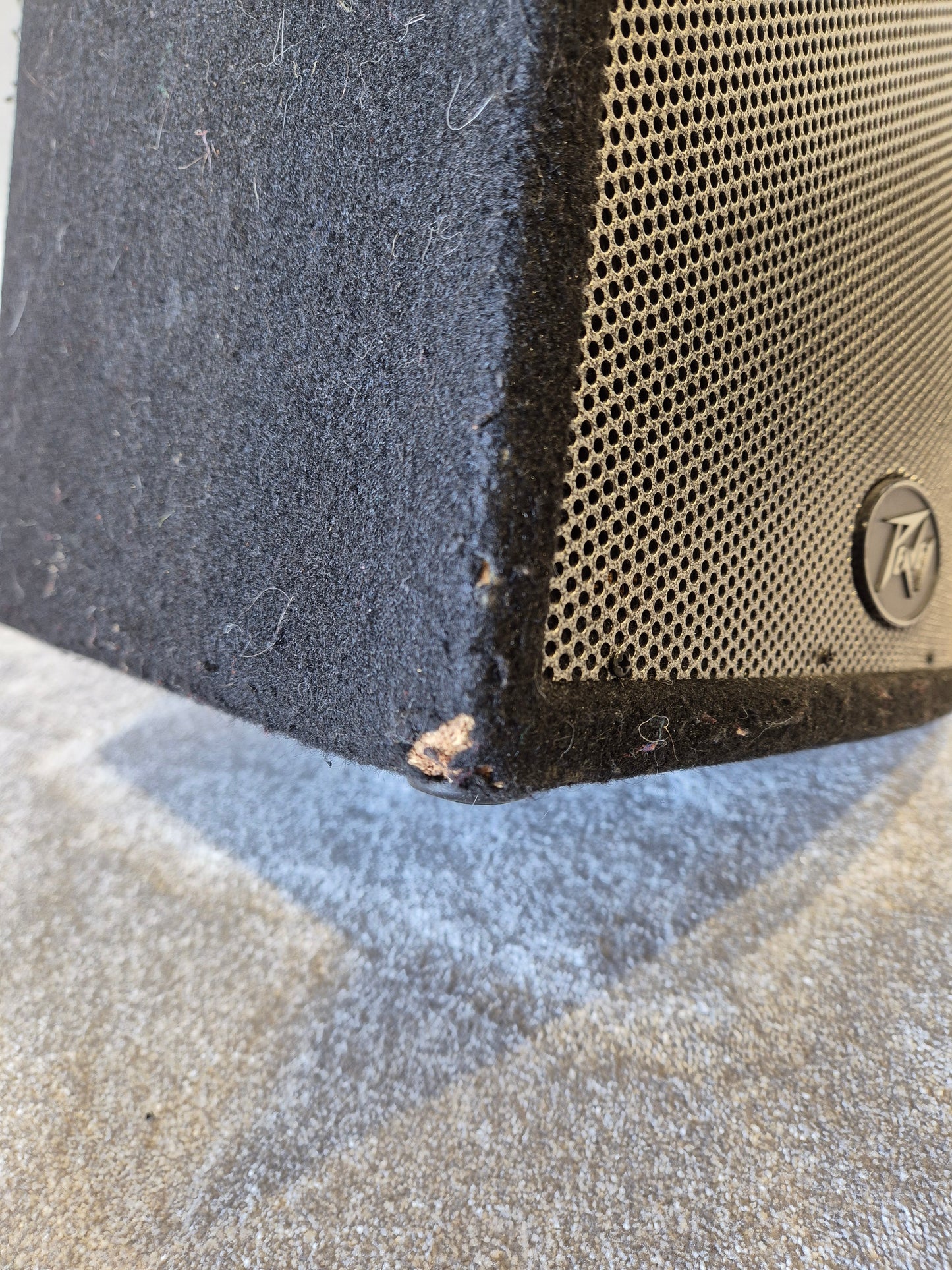 Peavey Pro 12 - 500-watts Passive PA Speaker w/ Speaker Cover (Very Good Condition)