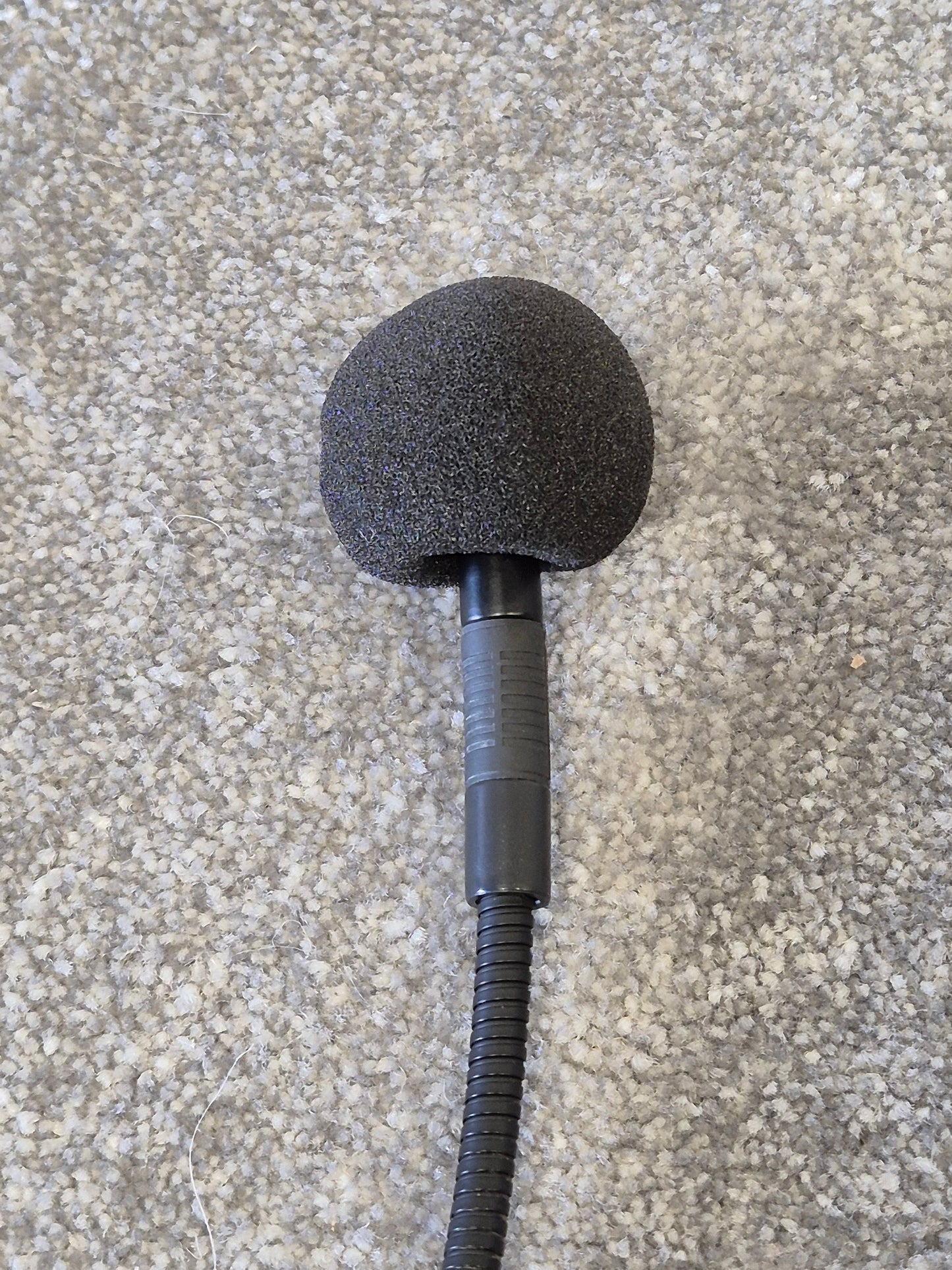 AKG C516 ML - Professional Condenser Microphone w/ Soft Case