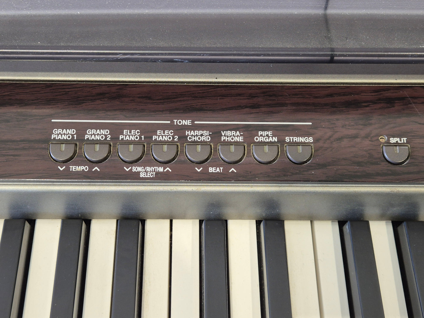 Casio Privia PX-100 - 88-Weighted Key Digital Piano (Read Description)