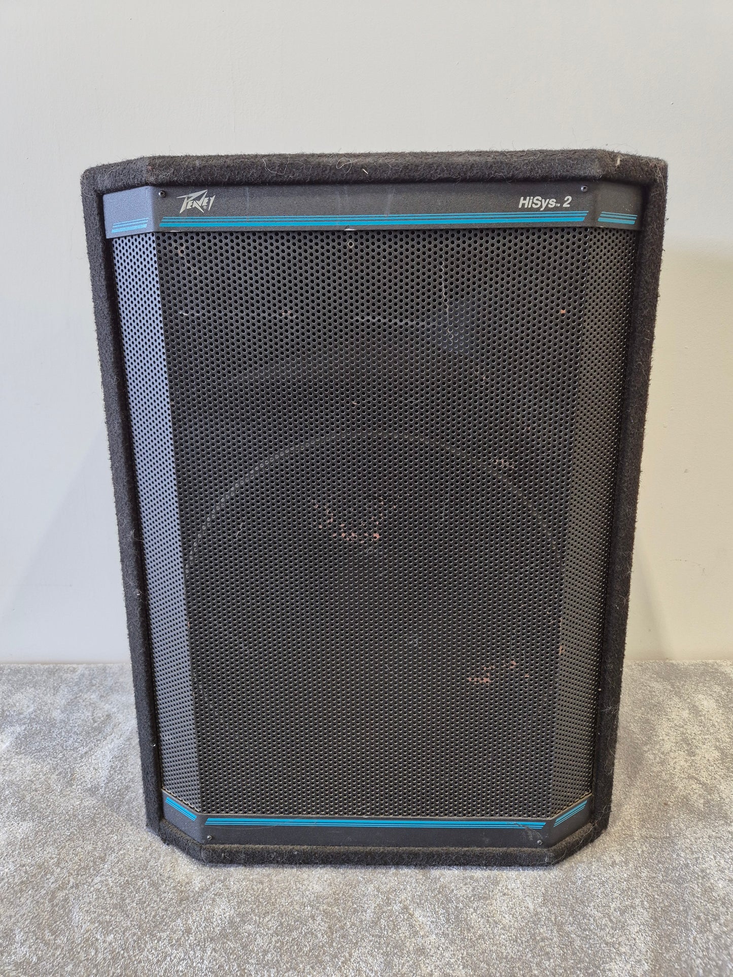 Peavey Hisys 2 - 600-watts Full-Range Operation PA Speaker (Very Good Condition)