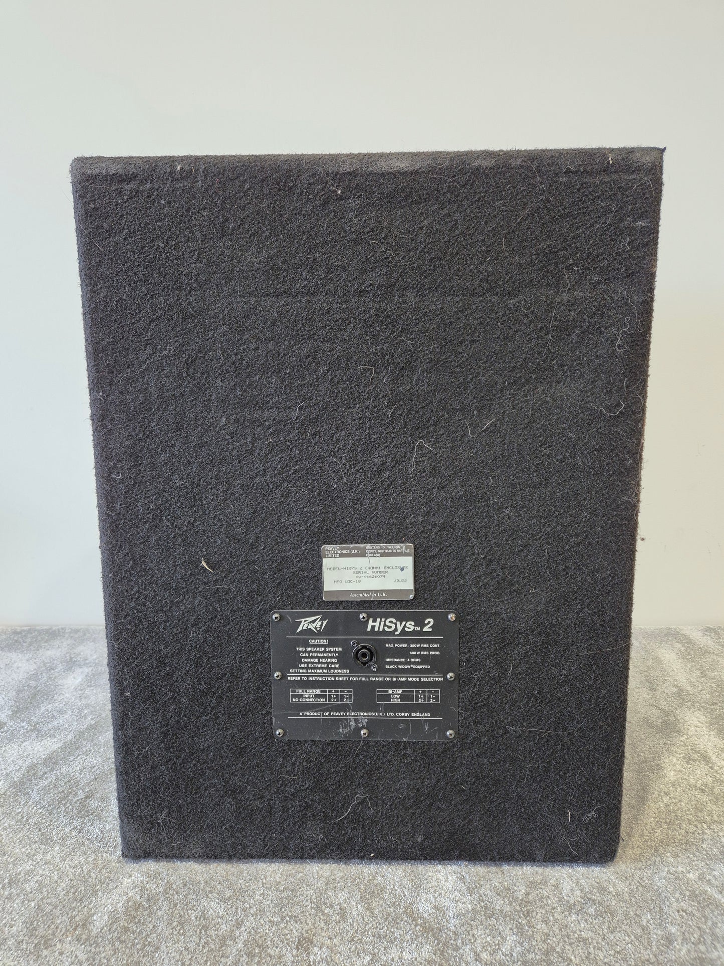 Peavey Hisys 2 - 600-watts Full-Range Operation PA Speaker (Very Good Condition)