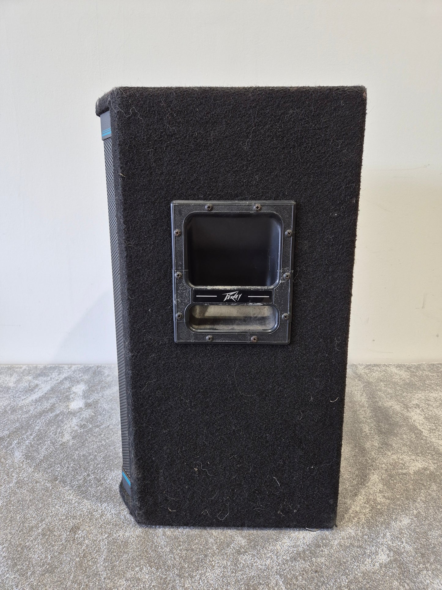 Peavey Hisys 2 - 600-watts Full-Range Operation PA Speaker (Very Good Condition)