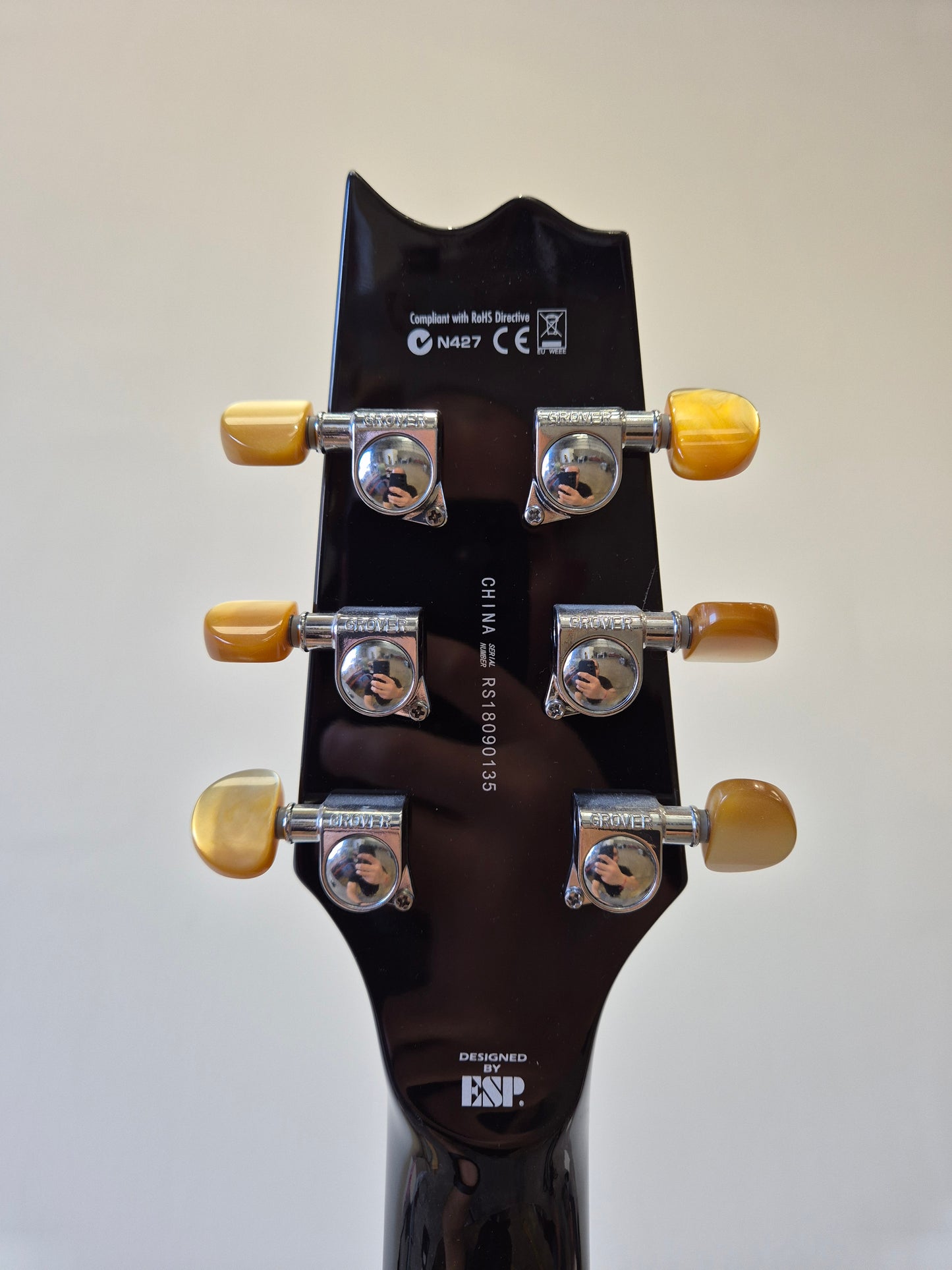 ESP LTD TL-6 - Acoustic-Electric Guitar
