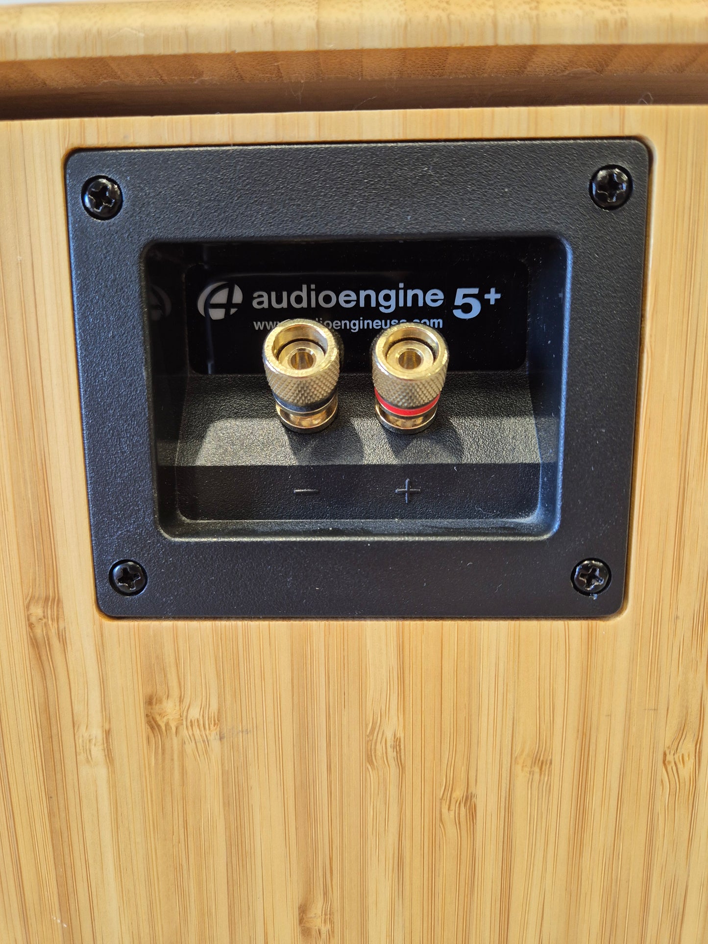 Audioengine A5+ - Premium Powered Speaker System w/ Stands (Pair)