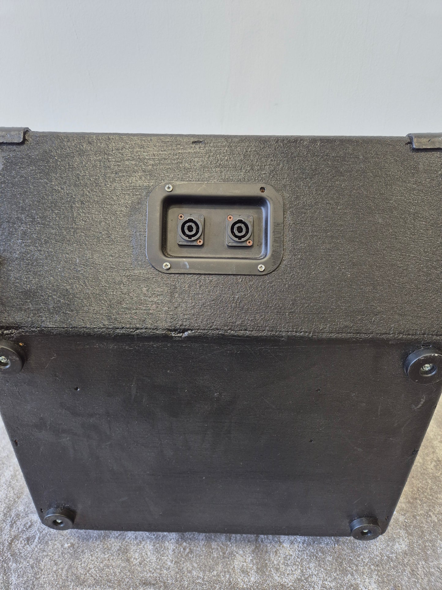 P-AUDIO SN-12MB Loudspeaker Driver With Custom Made Cabinet - Very Good