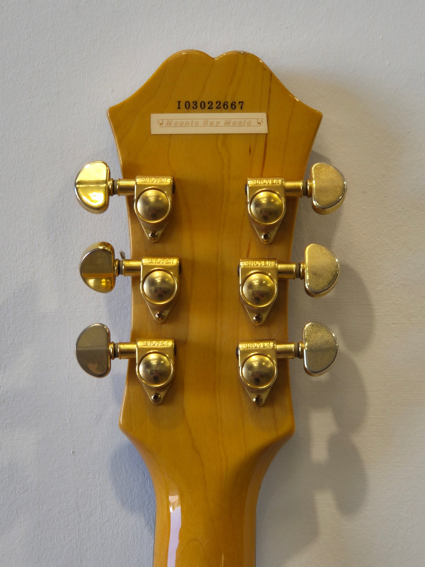 Epiphone Dot Deluxe Flame - Semi-Hollow Body Electric Guitar - Excellent
