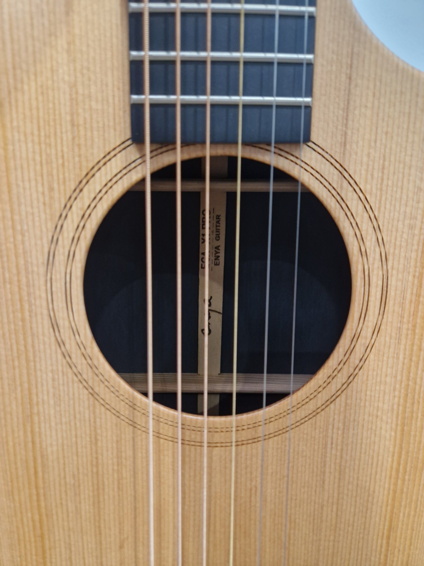 Enya Ega-x1-pro Acoustic Guitar - Carbon Fiber Construction, Fishman Preamp - Excellent w/ Soft Case