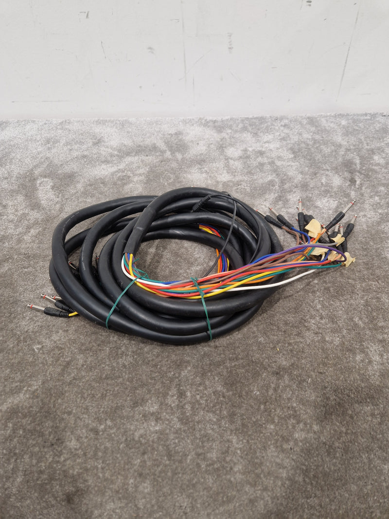 12 Channel Turnkey Cable 20FT - Professional Audio Connection - Excellent - image 2