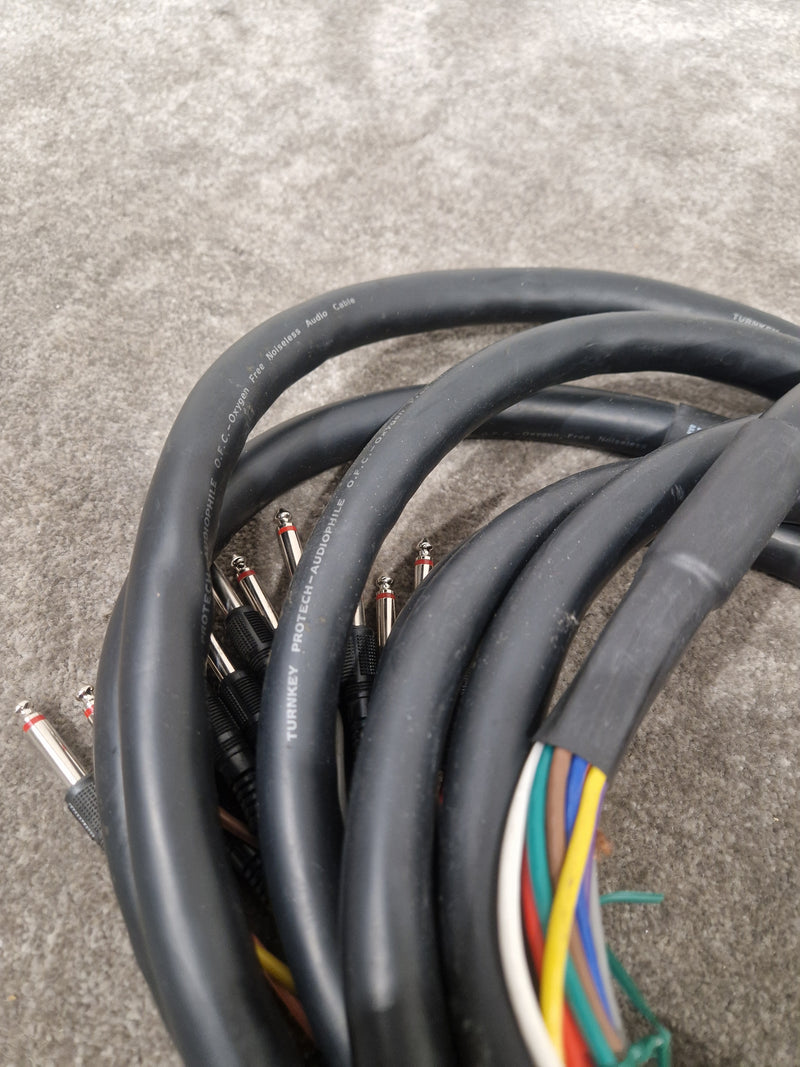12 Channel Turnkey Cable 20FT - Professional Audio Connection - Excellent - image 6