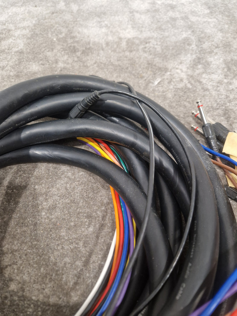 12 Channel Turnkey Cable 20FT - Professional Audio Connection - Excellent - image 3
