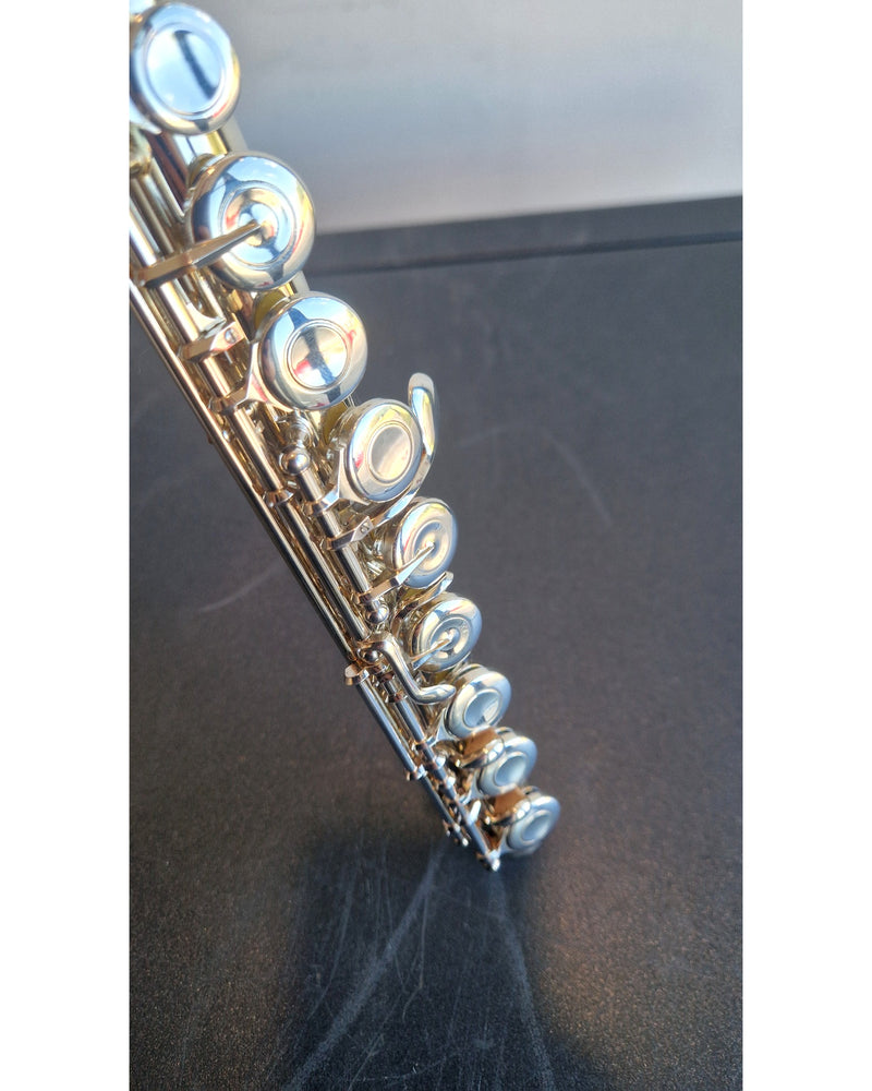 Muramatsu EX - Wind Instrument - Silver - Good w/ Hard Case & Soft Case - image 9