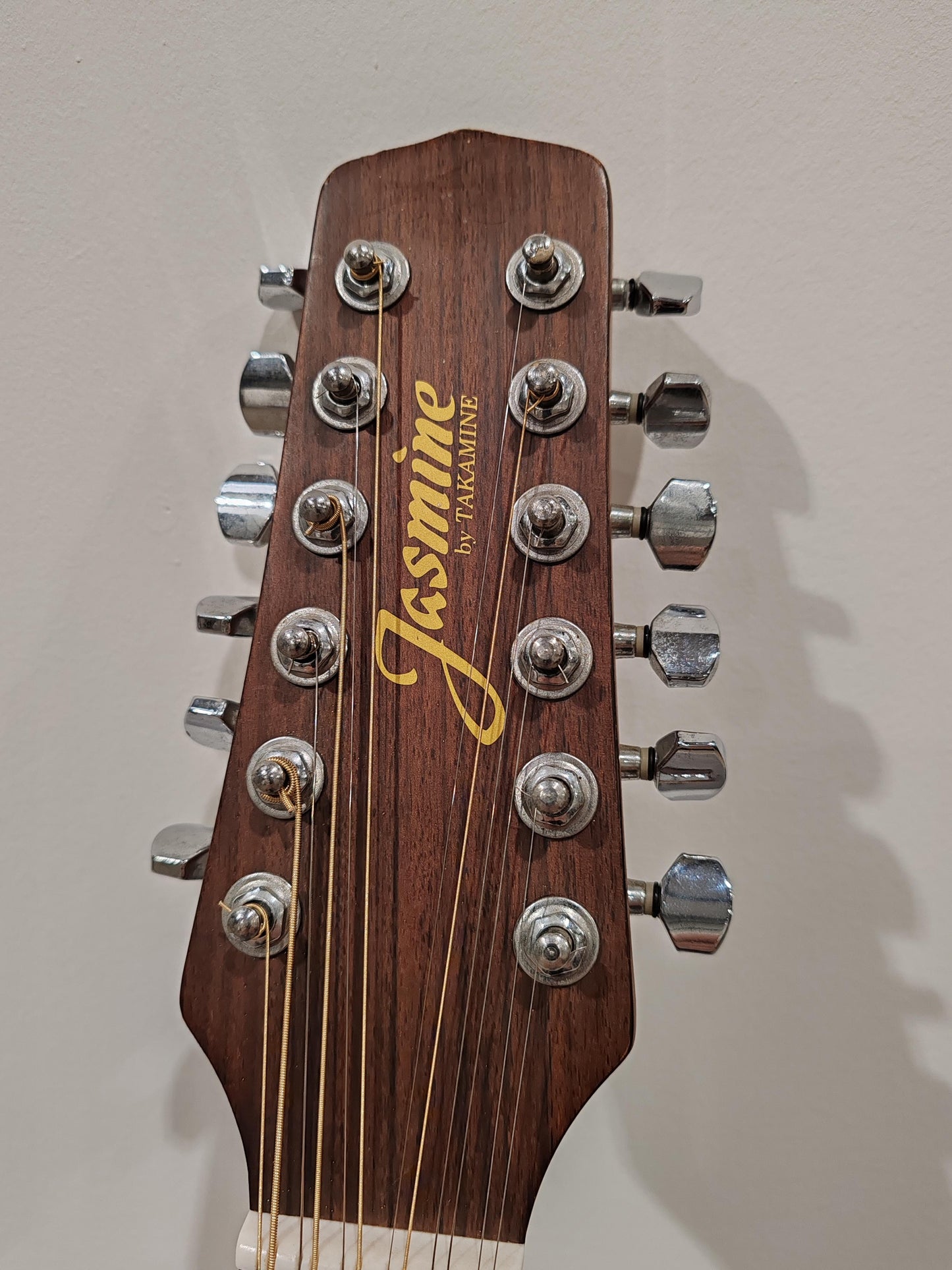 Jasmine by Takamine S-612 12-string electro acoustic guitar