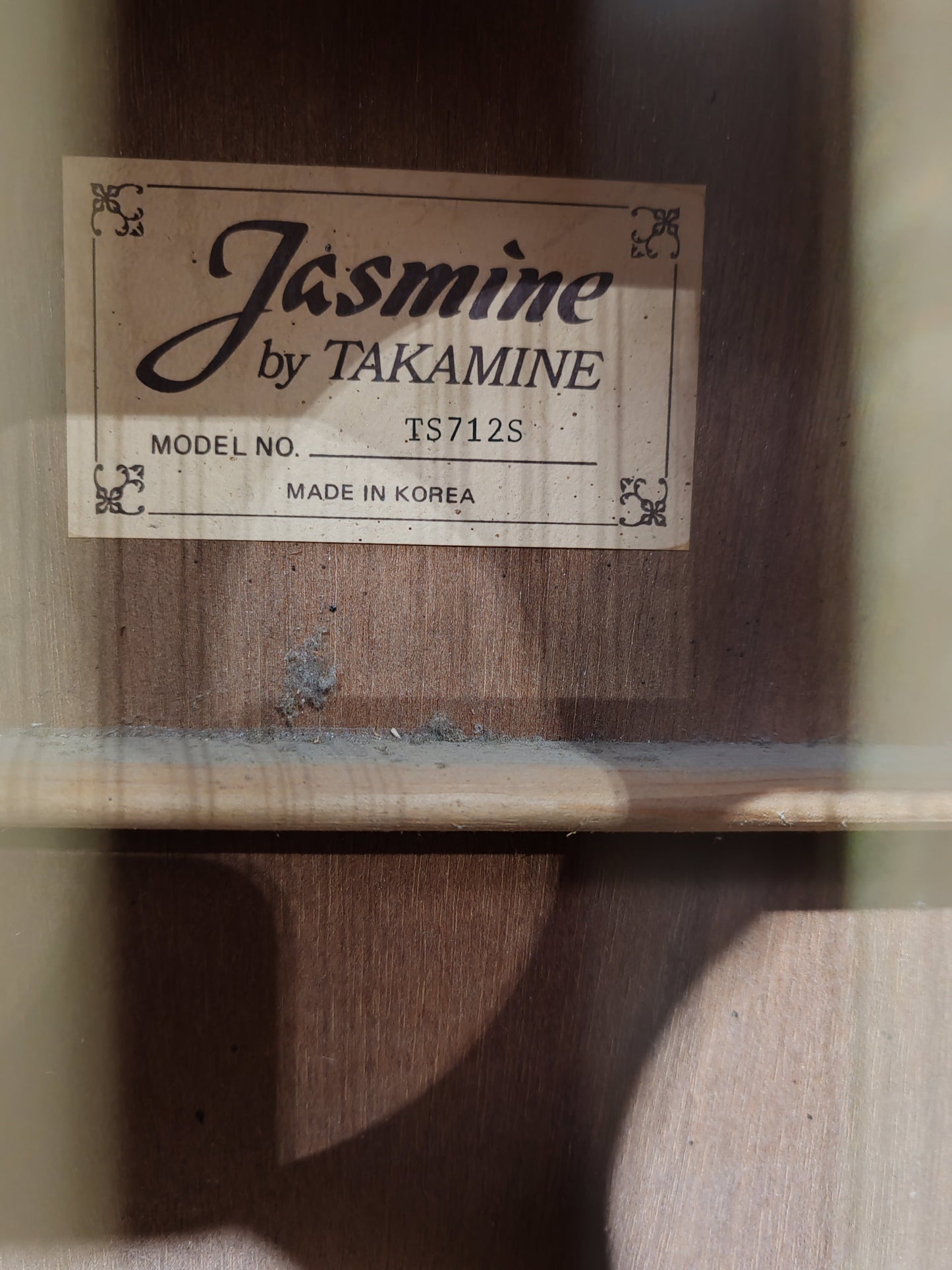 Jasmine by Takamine S-612 12-string electro acoustic guitar