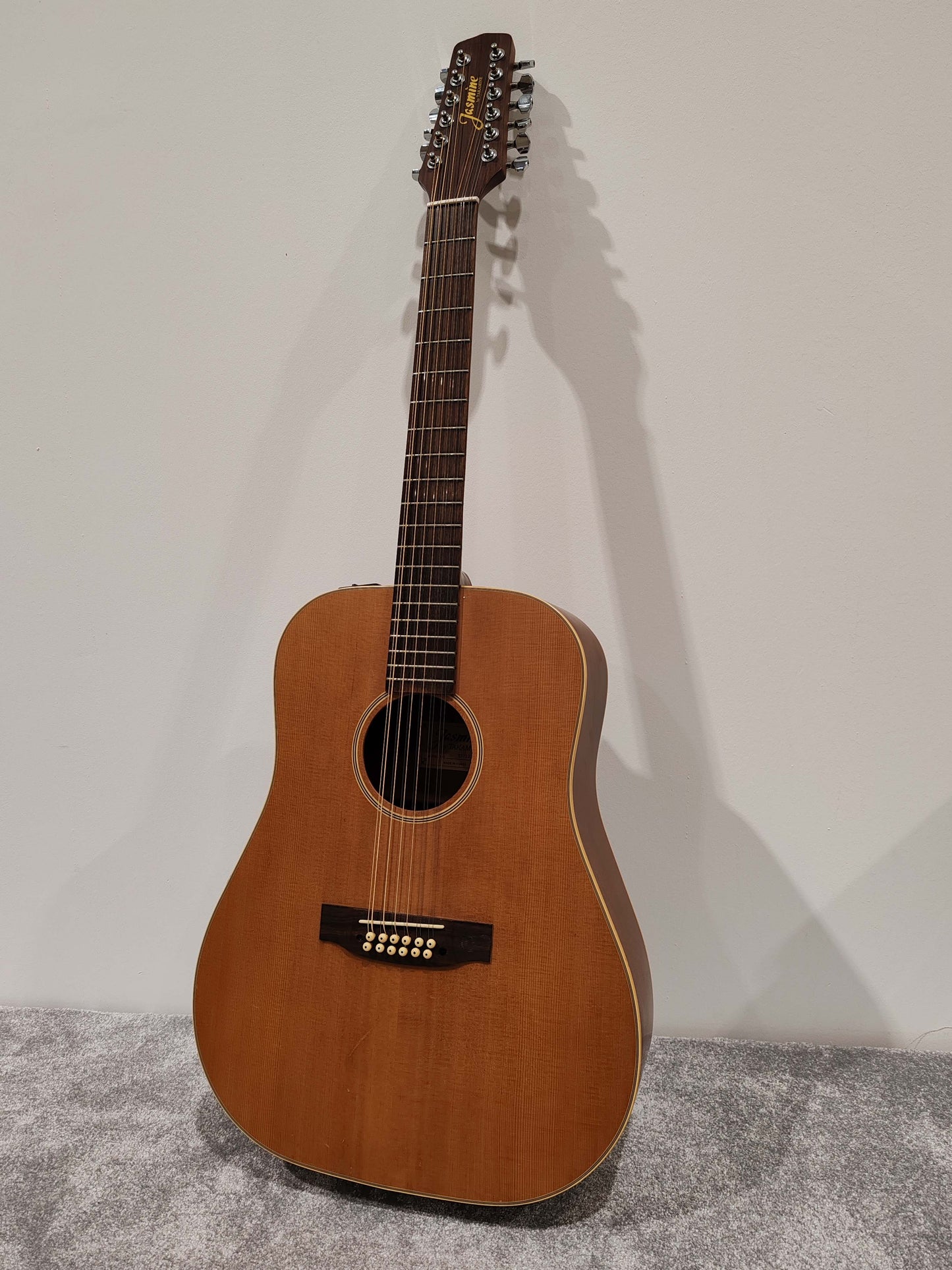 Jasmine by Takamine S-612 12-string electro acoustic guitar