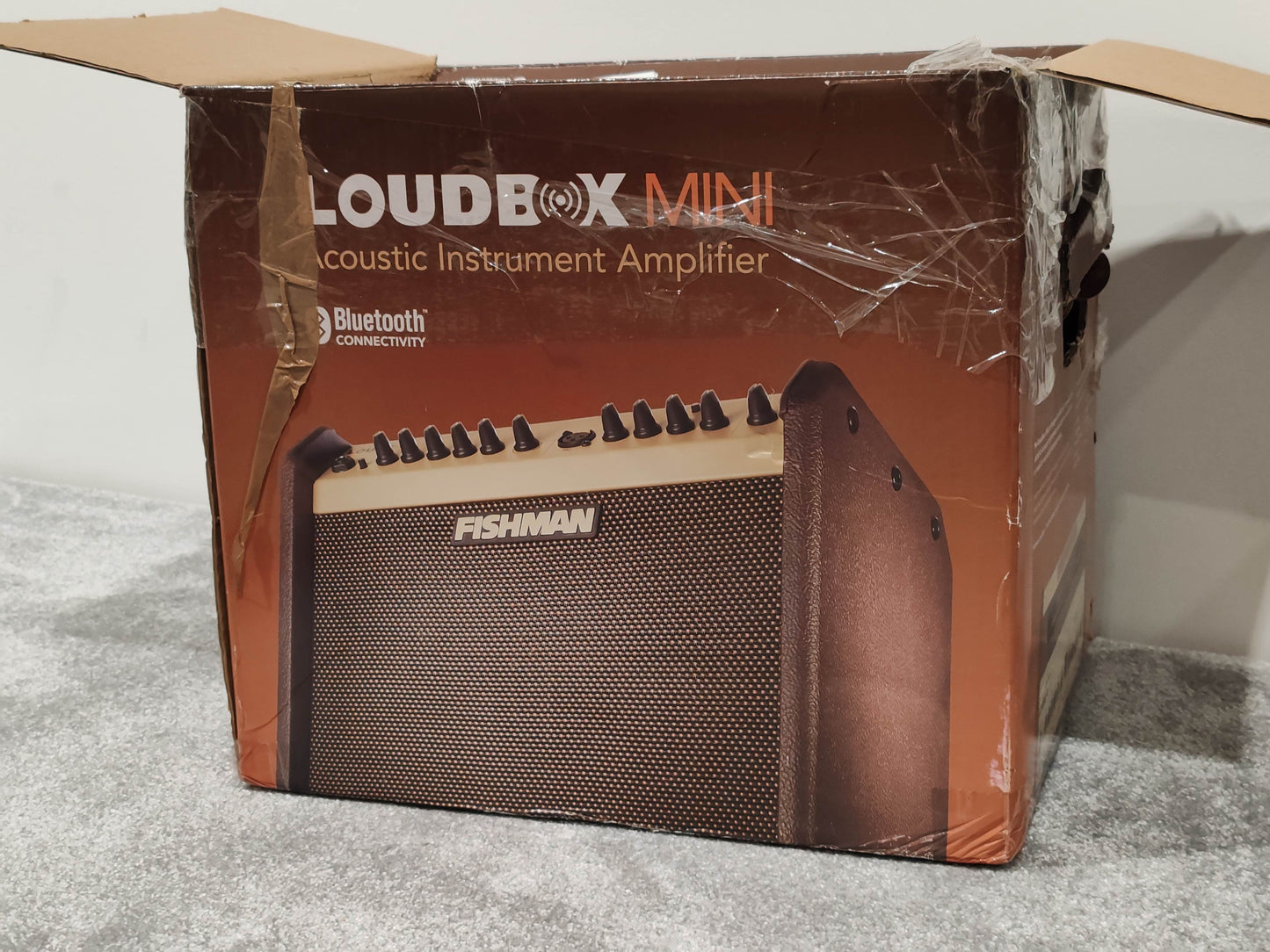 Fishman Loudbox Mini Acoustic Instrument Amplifier 60 Watts