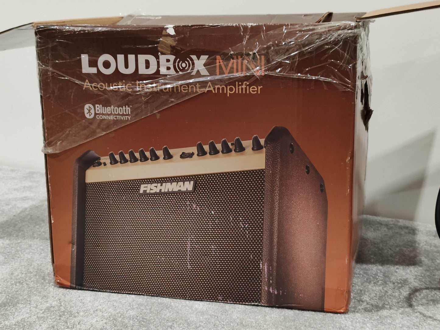 Fishman Loudbox Mini Acoustic Instrument Amplifier 60 Watts