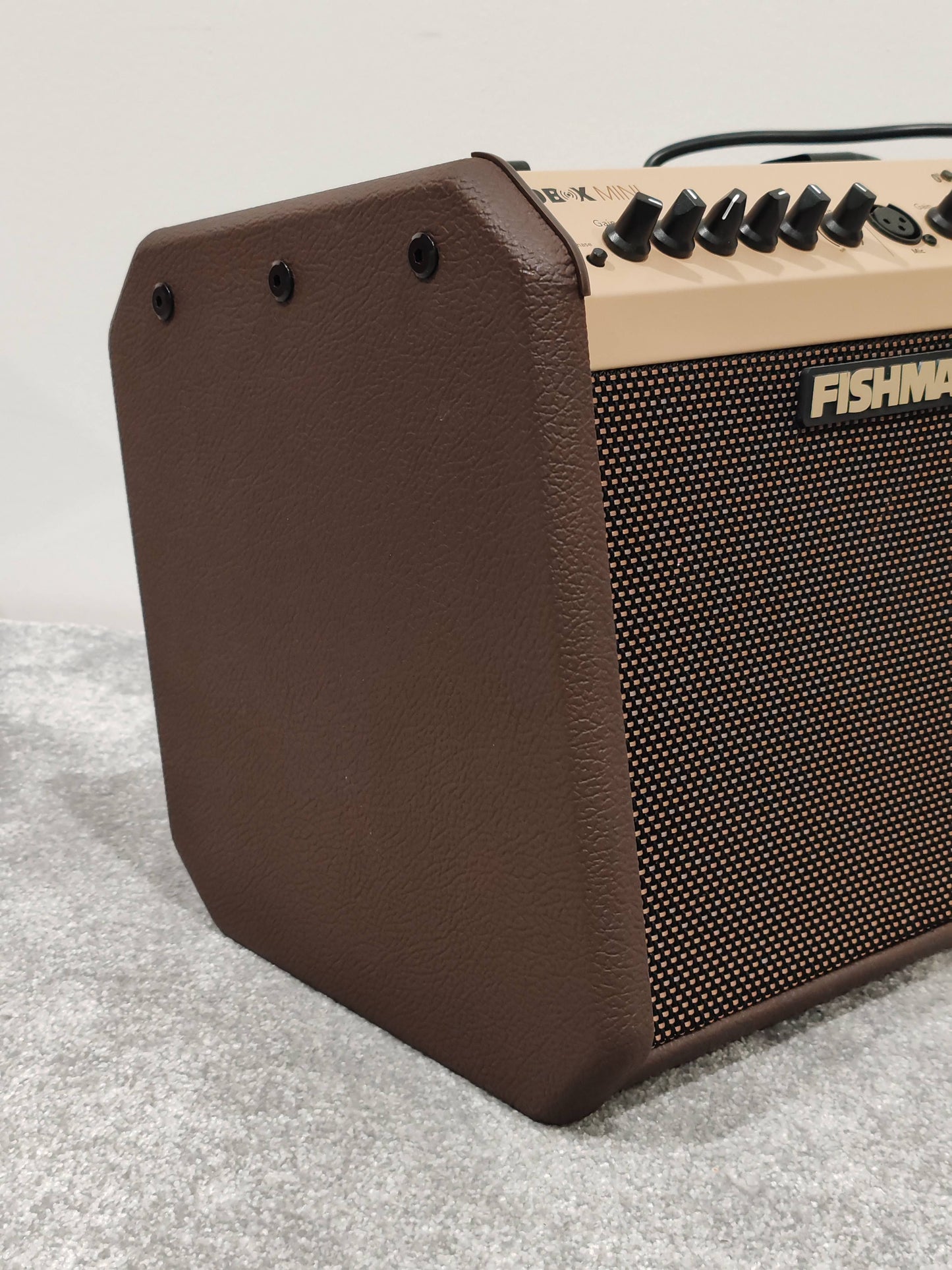 Fishman Loudbox Mini Acoustic Instrument Amplifier 60 Watts