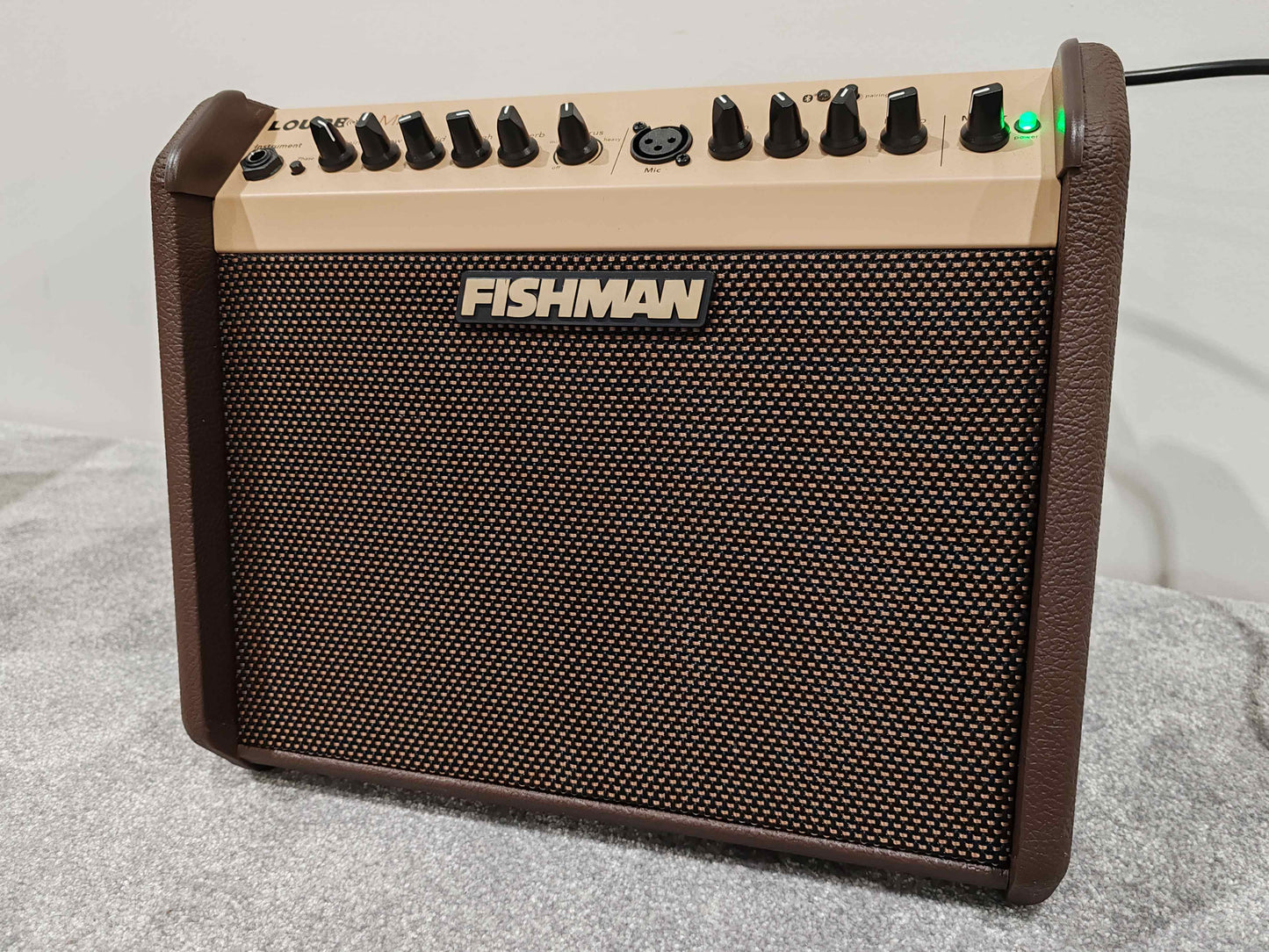 Fishman Loudbox Mini Acoustic Instrument Amplifier 60 Watts