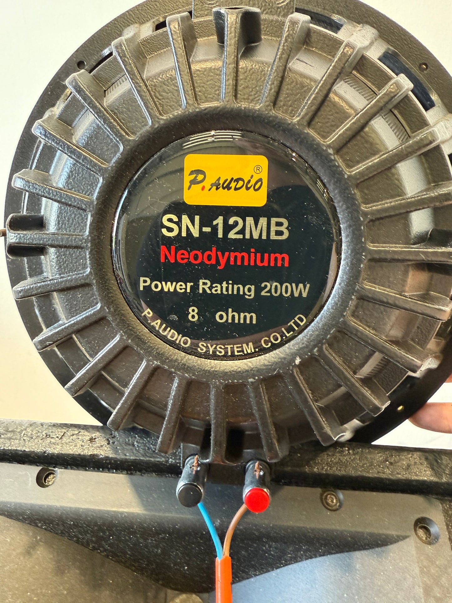 P-Audio SN-12MB - Low-Frequency Loudspeaker (Custom Made Speaker Cab)