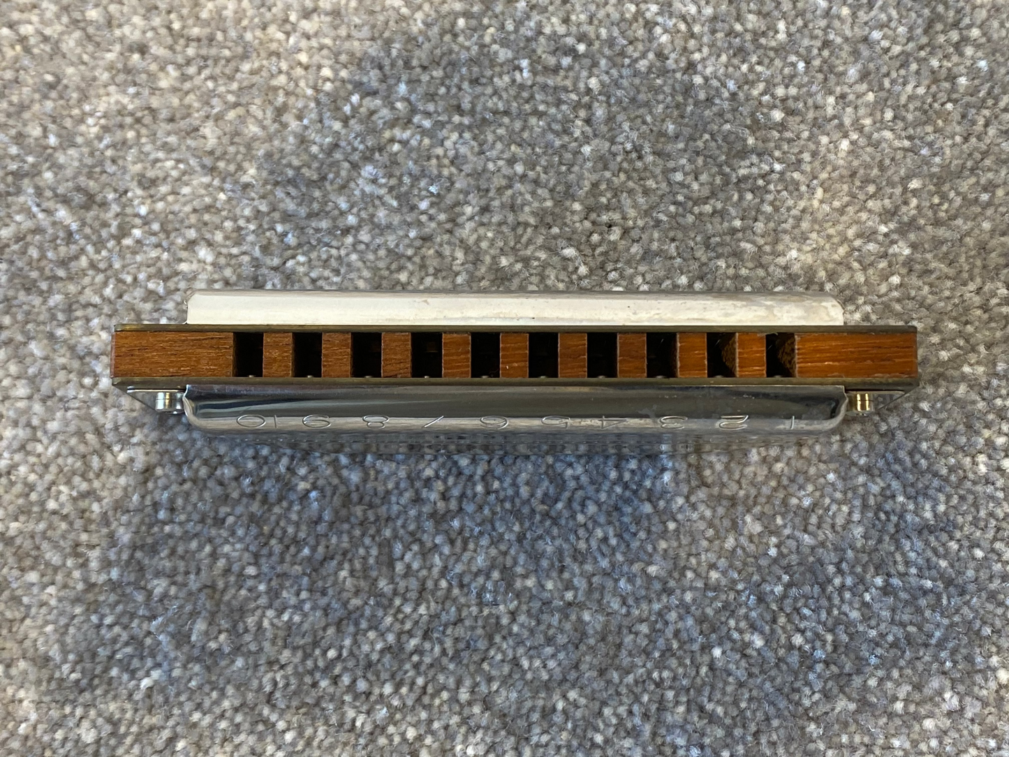 Hohner MS G Blues Harp Harmonica w/ Blue Case