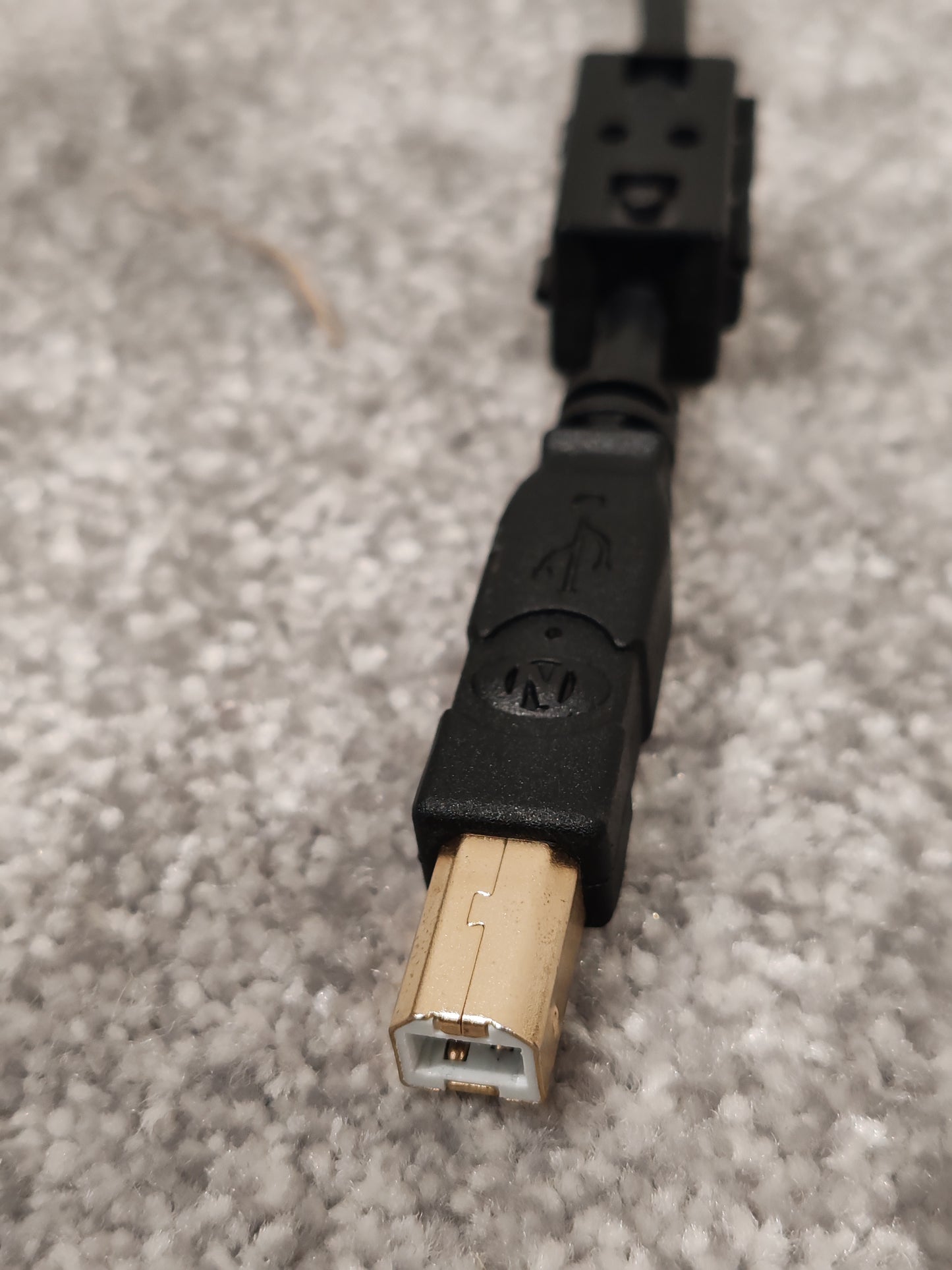 3m USB Cable A to B AWM E318900 Style - Gold Plated Connectors