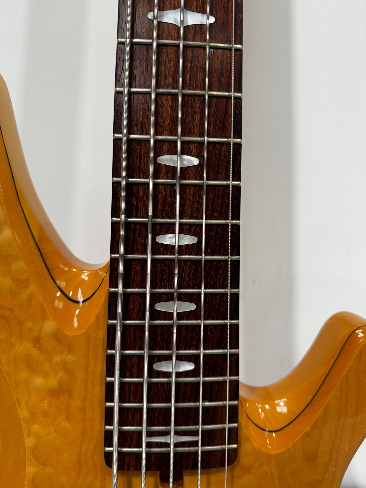 Yamaha TRB1005 5-string Bass Guitar with Chord Soft Case