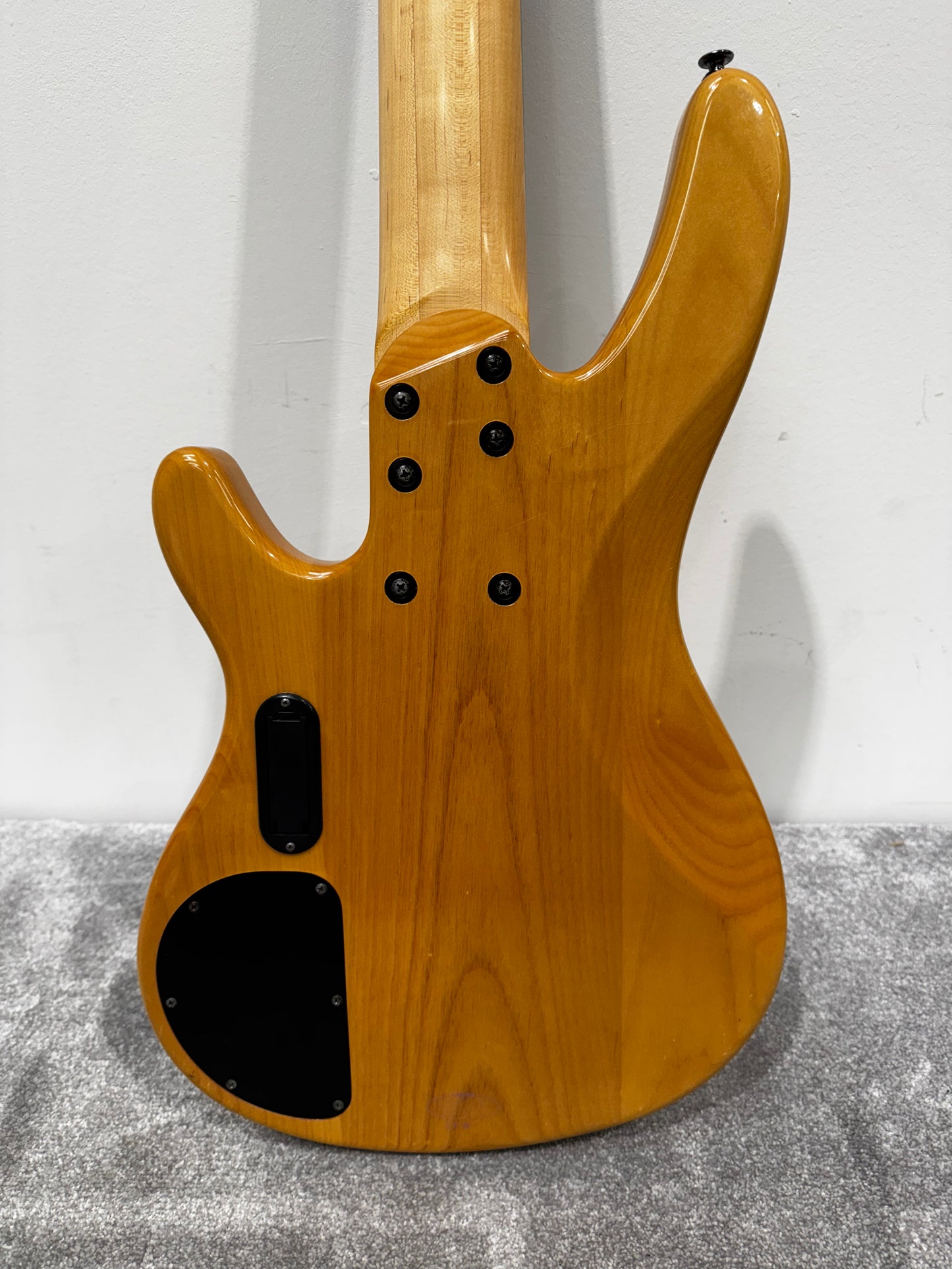 Yamaha TRB1005 5-string Bass Guitar with Chord Soft Case