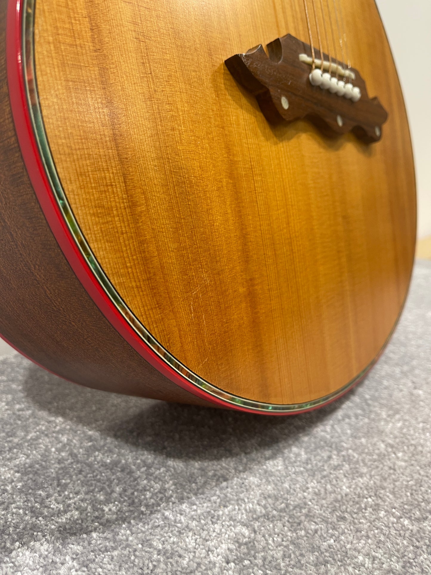Lindo Dragon Electro Acoustic Guitar - Professionally Setup