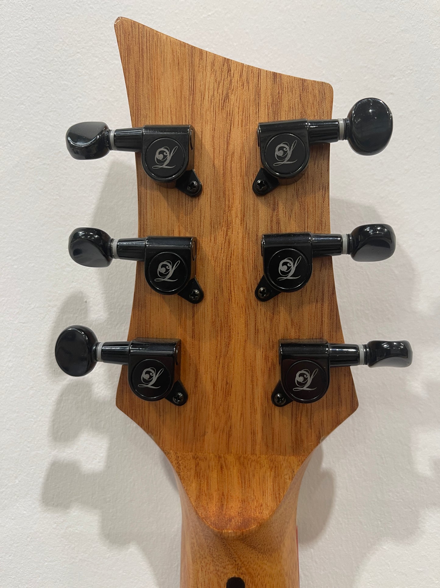 Lindo Dragon Electro Acoustic Guitar - Professionally Setup