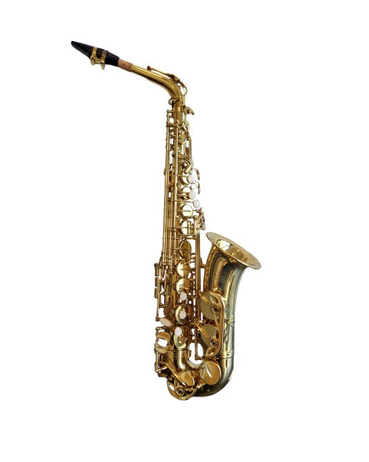 Elkhart 100AS - Saxophones - Excellent w/ Hard Case