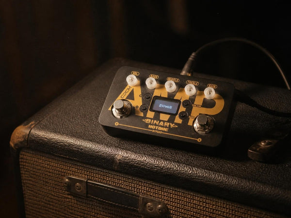 Amp & Cab Simulators