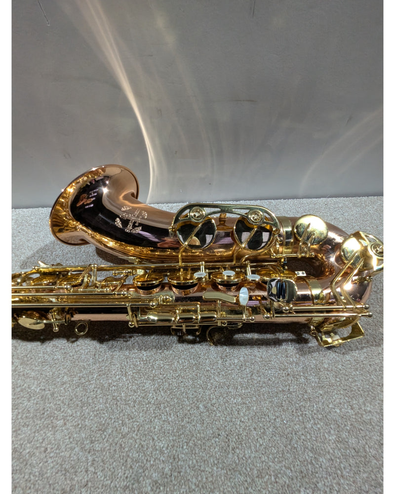 Trevor James Signature Custom Tenor Saxophone - Saxophone - Bronze With Gold-Coloured Keywork - Excellent w/ Soft Case - image 15